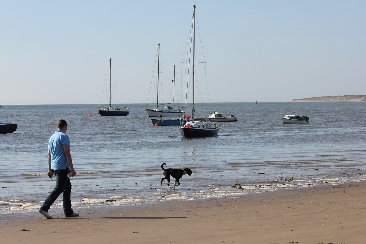 dog on beach.jpg